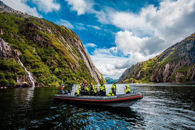 Sea Eagle Safari from Svolvær to Trollfjorden - Choosing the right weather and clothing