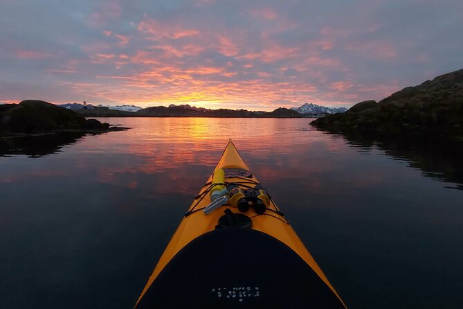 Sea Kayak Guided Tours on Skrova Island - Wildlife watching from the water