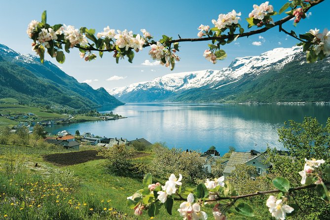Self-Guided 22-Hour Round Trip From Oslo To Sognefjord With Flåm Railway - Flåm: beautiful setting, very little free time