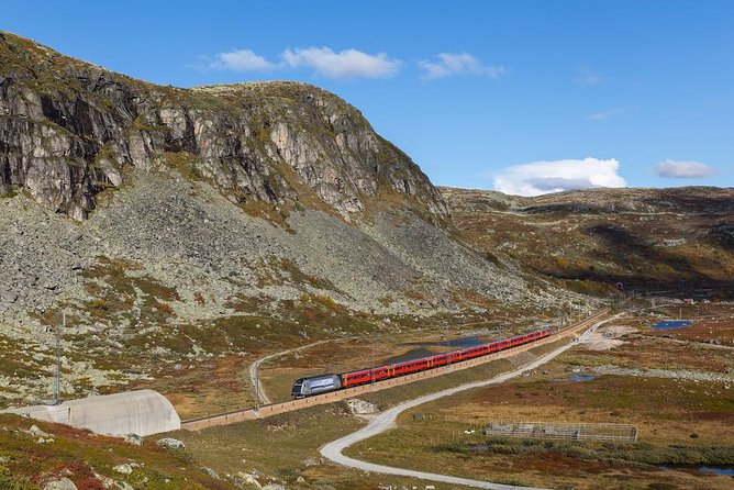 Self-Guided 22-Hour Round Trip From Oslo To Sognefjord With Flåm Railway - The Aurlandsfjord and Nærøyfjord cruise