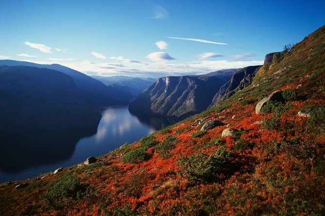 Self-Guided Full Day Round-trip From Bergen - The bus from Voss to Gudvangen