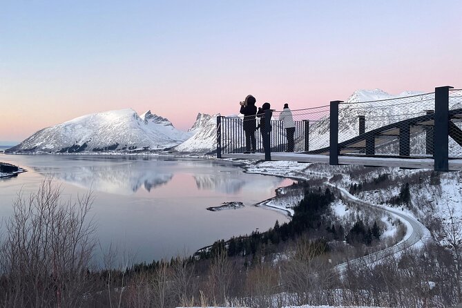 Senja Island: 4x4 Day Tour with Overlanding Senja - Ersfjordstranda: the planned coffee break