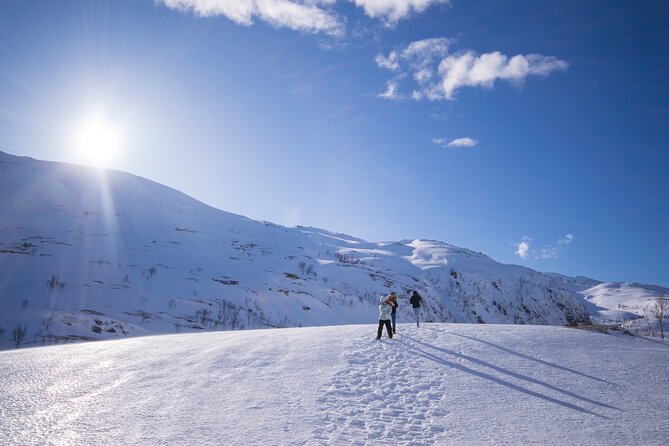 Senja Island: 4x4 Day Tour with Overlanding Senja - Mefjordvaer: finish in an authentic fjord village