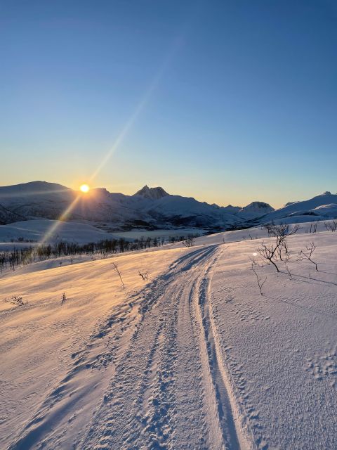Senja Island: Winter Light Package Deal, 1 Day and 1 Night - Touring Senja’s National Tourist Road viewpoints