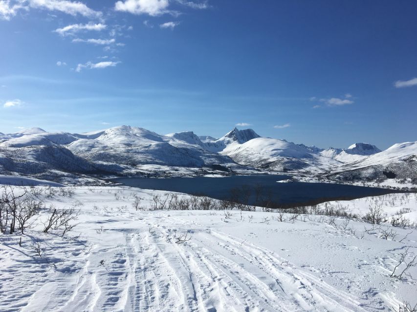 Senja Island: Winter Light Package Deal, 1 Day and 1 Night - Who will get the most from this trip