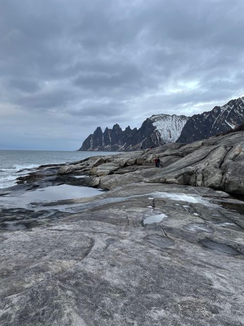 Senja Island: Winter Light Package Deal, 1 Day and 1 Night - The final call: is Senja’s winter package worth it?