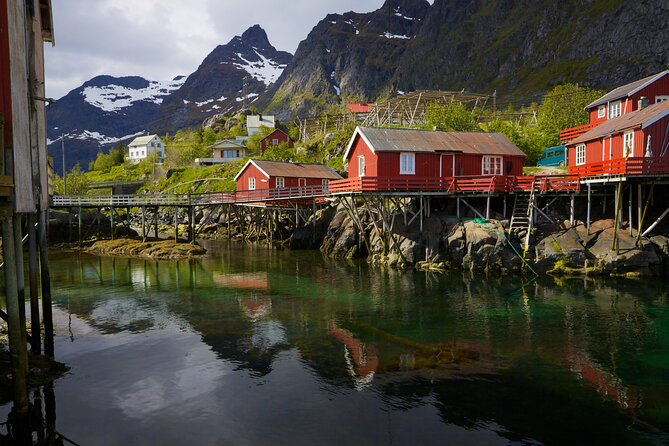 Shore Excursion Full day Private Tour in Lofoten - Å, an open museum at the end of the road