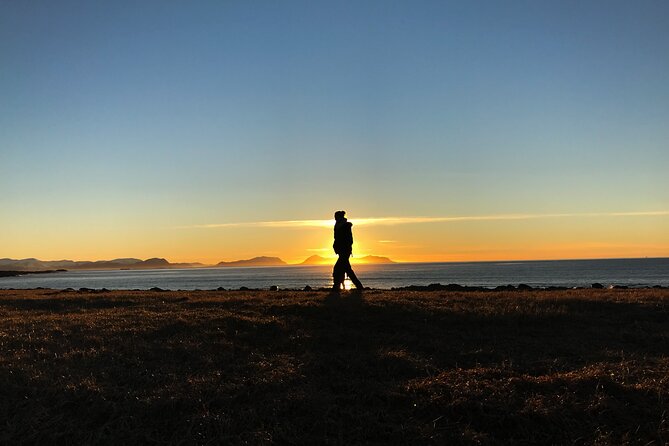 Shore Excursions Ålesund: Highlights Ålesund & Islands - Pickup details can make or break the morning