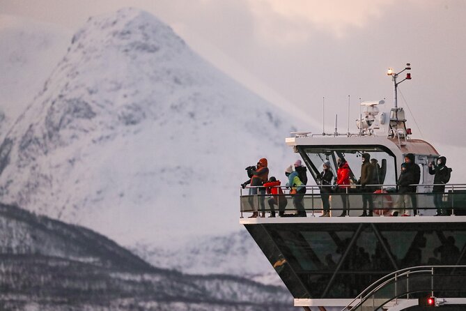Silent Whale Watching by Hybrid-Electric Boat from Tromsø - What the $214.85 price really covers