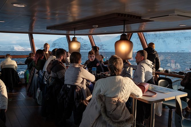 Silent Whale Watching by Hybrid-Electric Boat from Tromsø - Timing, daylight, and the whale season