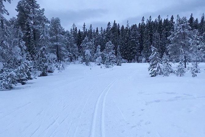 Skiing in winter wonderland - Why the group size matters at $232.82