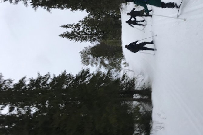Skiing in winter wonderland - Who will enjoy this three-hour outing
