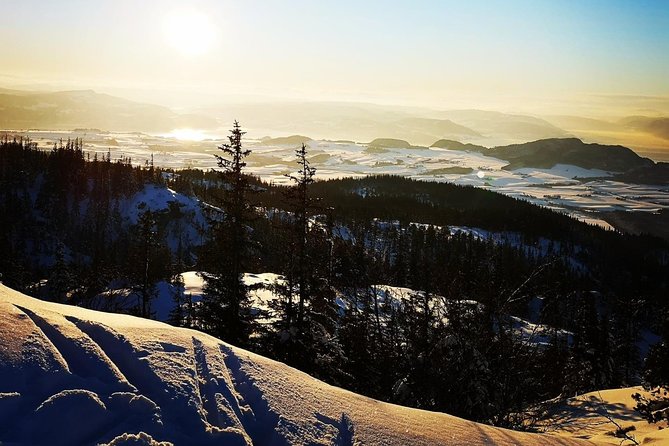 Skiing in winter wonderland - Following Trondheim’s trees and winter trails