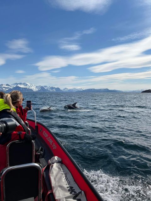 Skjervøy: Birds and Wildlife of Arctic Norway - Key points at a glance