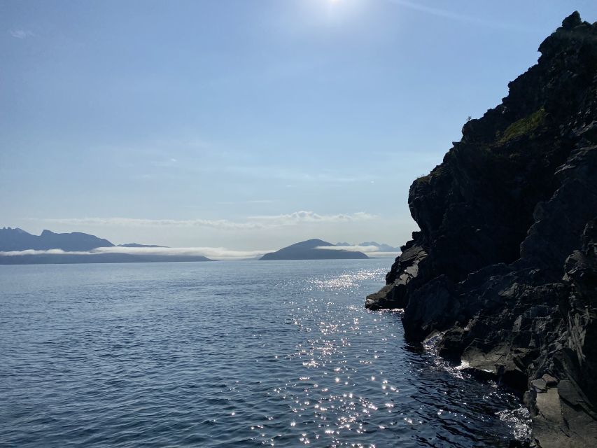 Skjervøy: Birds and Wildlife of Arctic Norway - Who will enjoy this Arctic cruise most?