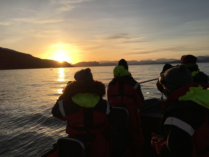 Skjervøy: Birds and Wildlife of Arctic Norway - Looking inland for moose and reindeer