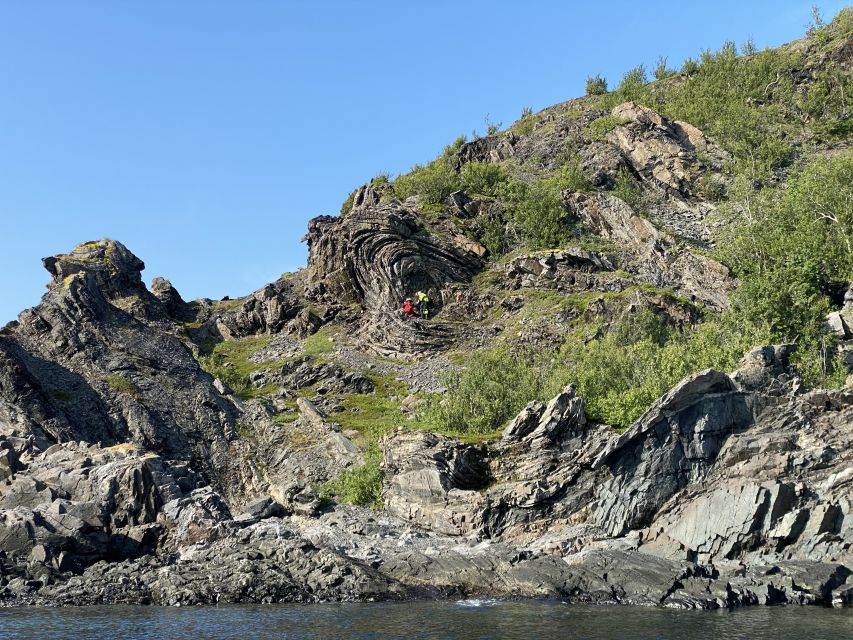 Skjervøy: Birds and Wildlife of Arctic Norway - Three hours among fjords, islands, and open water