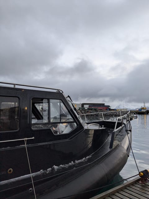 Skjervøy: Orca and Whale-Watching comfort heated Boat Trip - Why this Skjervøy safari is different