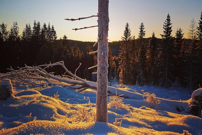 Slegding and tram-tour - Sledding at Lian for first-timers