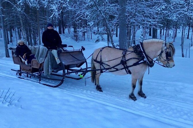Sleigh or wagon ride in the arctic Country side - Getting dressed for a ride in subzero weather