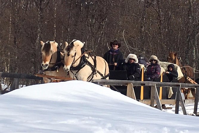 Sleigh Ride w/ snacks - Experience Arctic Farm Life - Sleigh, wagon, or carriage, depending on the season