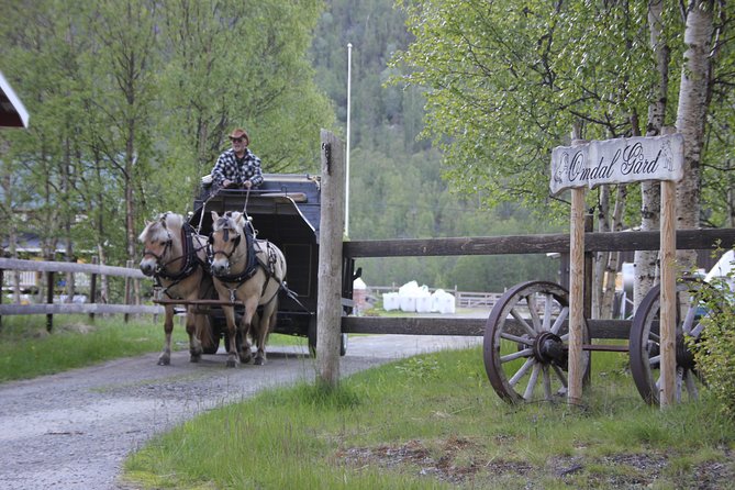 Sleigh Ride w/ snacks - Experience Arctic Farm Life - Meeting the sheep and horses at the farm