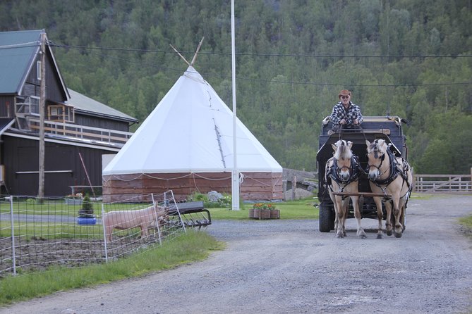 Sleigh Ride w/ snacks - Experience Arctic Farm Life - What $183.08 buys you