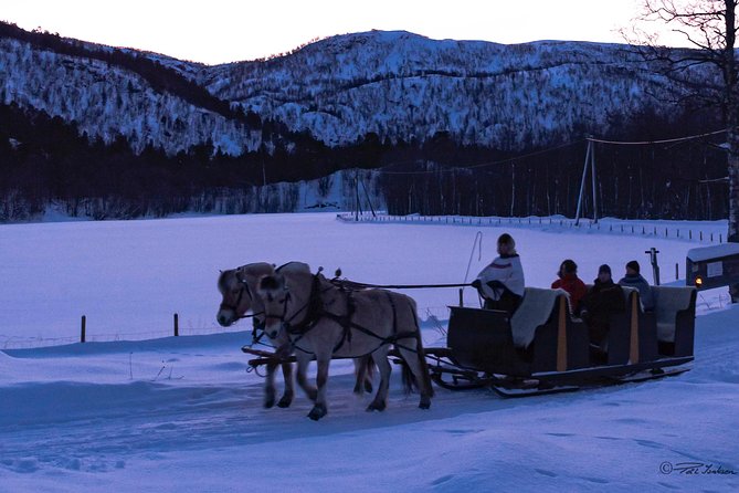 Sleigh Ride w/ snacks - Experience Arctic Farm Life - Timing, weather, and practical comfort