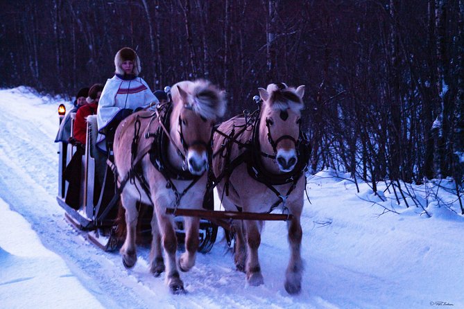 Sleigh Ride w/ snacks - Experience Arctic Farm Life - The drive from Alta is part of the outing
