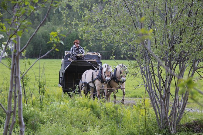 Sleigh Ride w/ Tapas Meal - Experience Arctic Farm Life - Arctic tapas beside a fire in the lavvo