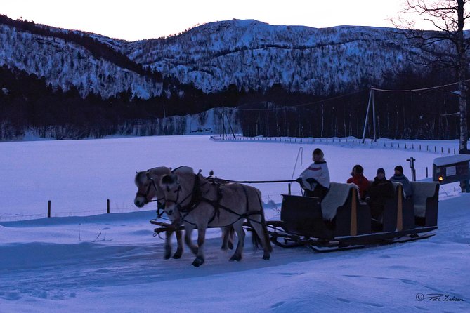 Sleigh Ride w/ Tapas Meal - Experience Arctic Farm Life - Timing, weather, and practical details