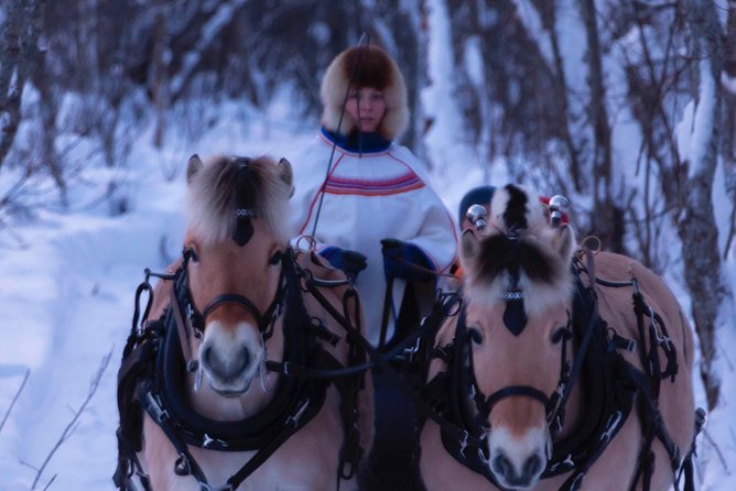 Sleigh Ride w/ Tapas Meal - Experience Arctic Farm Life - A 30 to 40 minute ride behind Norwegian fjord horses