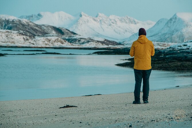 Small Group Arctic Fjords Road trip with Scenic Picnic - Lunch, coffee, and a useful Arctic pause