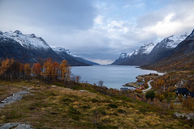 Small Group Arctic Fjords Road trip with Scenic Picnic - Professional photos without the camera pressure