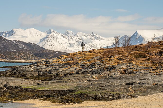 Small Group Arctic Fjords Road trip with Scenic Picnic - Is $161.84 a fair price?