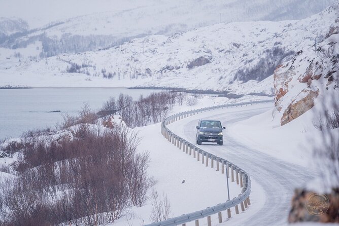 Small Group Arctic Fjords Road trip with Scenic Picnic - Timing, weather, and clothing