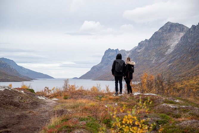 Small Group Arctic Fjords Road trip with Scenic Picnic - A small group makes the road time easier