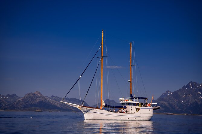Small Group Luxury Cruise to Trollfjord on a 33m Classic Yacht - Salmon soup, coffee, and a proper break