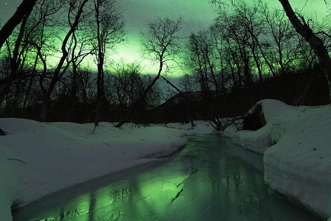 Small-Group Northern Lights Tour from Tromso with Photos - Fires, cake, and waiting in the cold