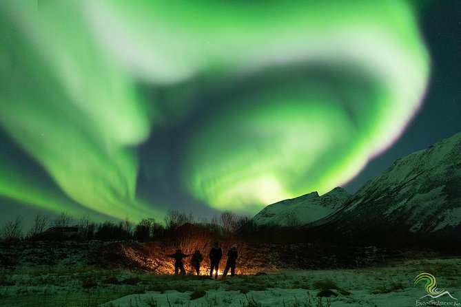 Small-Group Northern Lights Tour from Tromso with Photos - Photography with Alan, George, or another guide