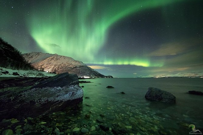 Small-Group Northern Lights Tour from Tromso with Photos - Tips for making the night better