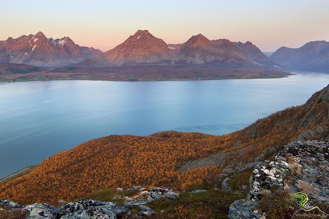 Small-Group Norwegian Fjords Tour from Tromso with Photos - Scenic stops beyond Tromsø