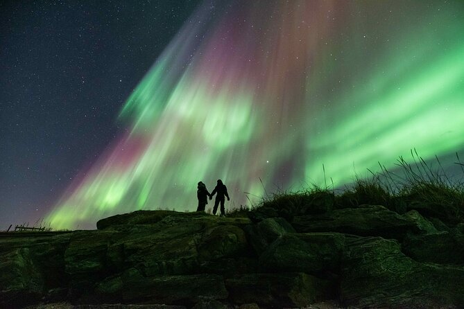 Small Group Tromsø: Northern Lights Chase with Photos and Dinner - Dinner, hot drinks, and staying warm