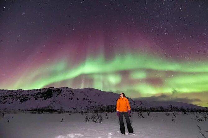 Small Group Tromsø: Northern Lights Chase with Photos and Dinner - What the $237.32 price really covers