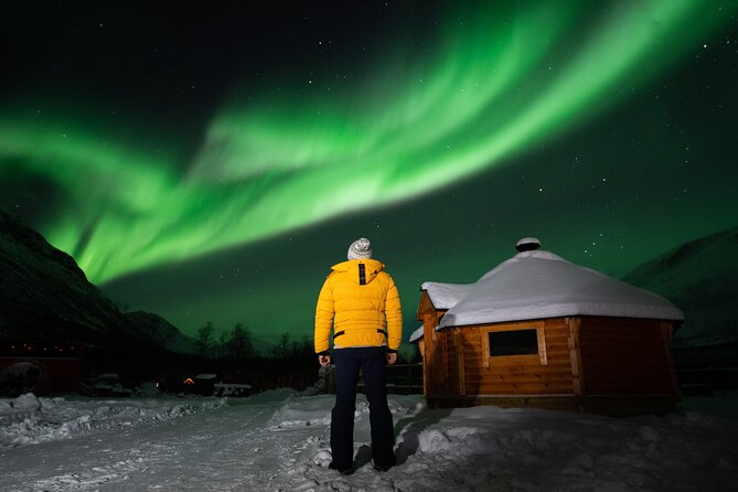 Small Group Tromsø: Northern Lights Chase with Photos and Dinner - Who will get the most from this tour