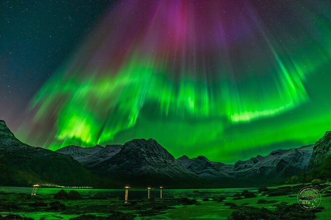 Small Group Van Journey in Search of the Northern Lights - A Northern Lights chase built around the weather