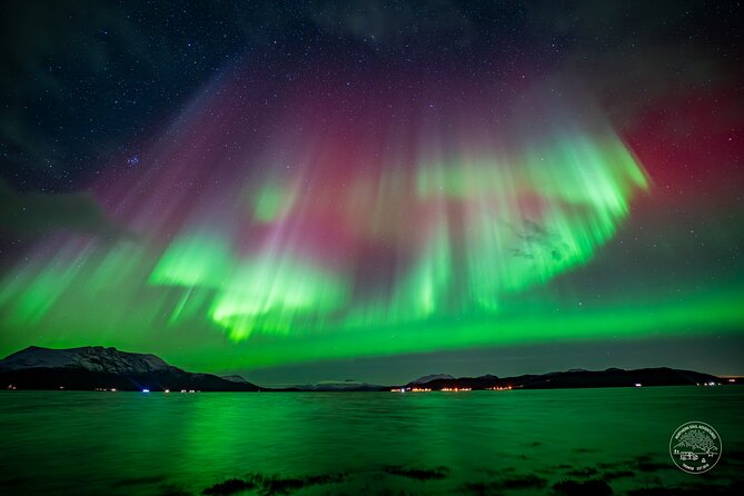 Small Group Van Journey in Search of the Northern Lights - The guides are the main reason this works