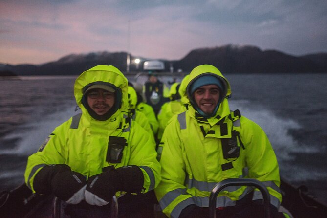Small Group Whale Watching by RIB - The guides and the standard of care