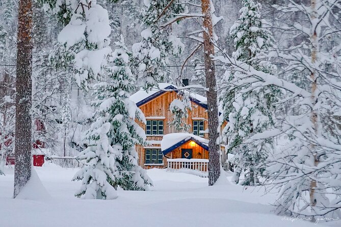 Small Group Wilderness Husky Sledding 2h from Tromsø (car needed) - Two hours through the snowy forest
