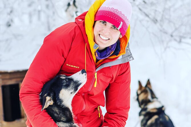 Small Group Wilderness Husky Sledding 2h from Tromsø (car needed) - A Norwegian lunch beside the trail